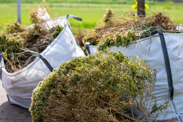 Best Construction Debris Removal  in Pond Creek, OK